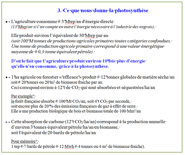 3. photosynthèse