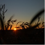 coucher soleil